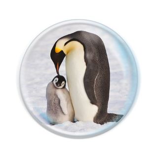 Obrázek z Magnet kulatý 5cm - tučňák (12) 